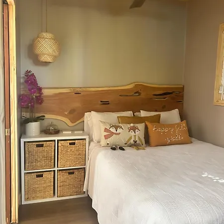 Sweet Tiny Cabin Tampa Exterior photo