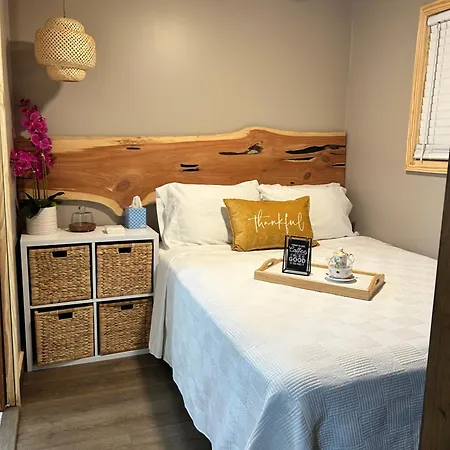 Sweet Tiny Cabin Tampa Exterior photo